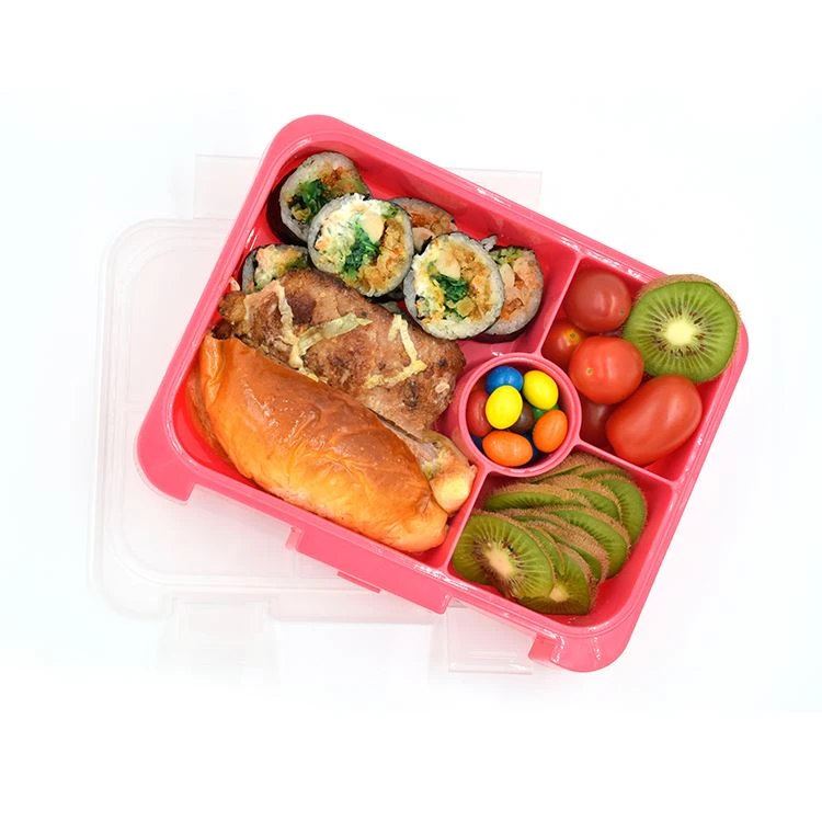 Fun Life Bento Box